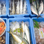 今日仕入れた魚が店頭に並びます。