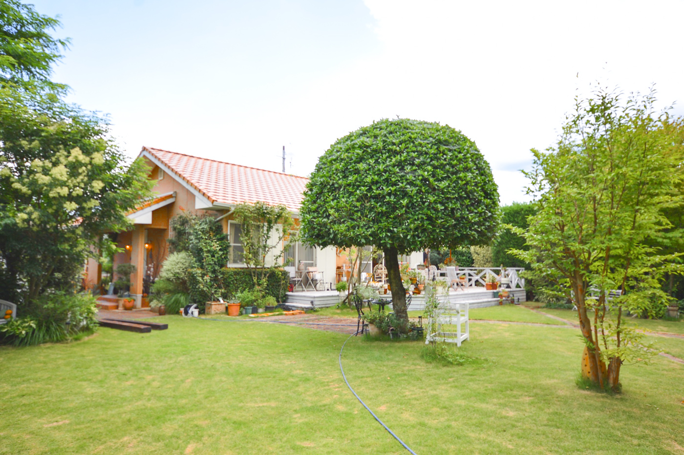 GardenCafe-28-5.jpg