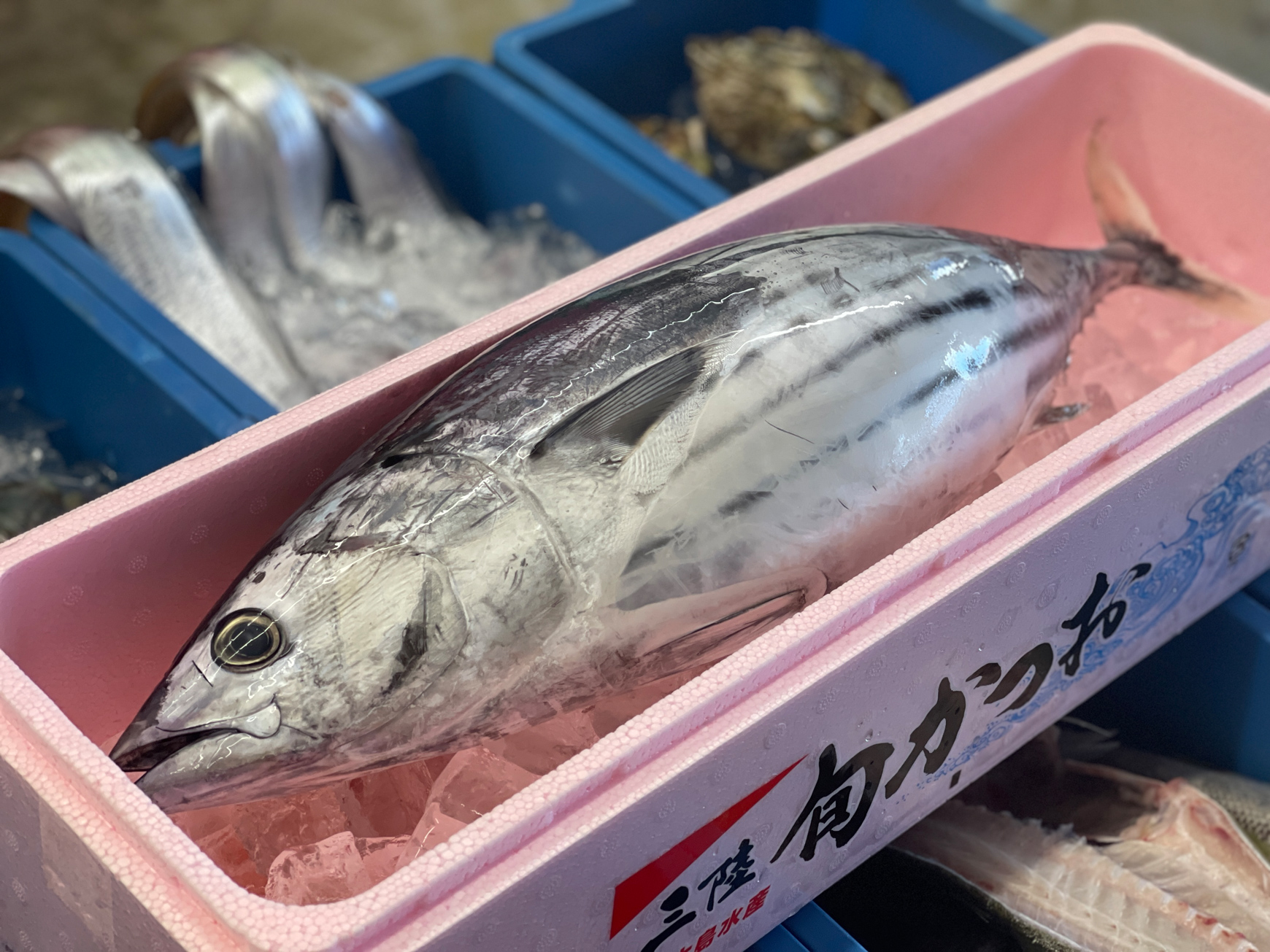八代市の魚屋さん「一魚一恵」は新鮮なお魚だけを販売します。