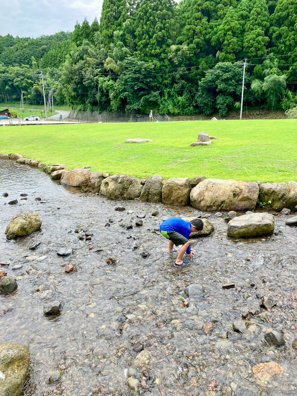 浅瀬の川でカニ探しする男の子と、広がる芝生と森林の自然豊かな風景