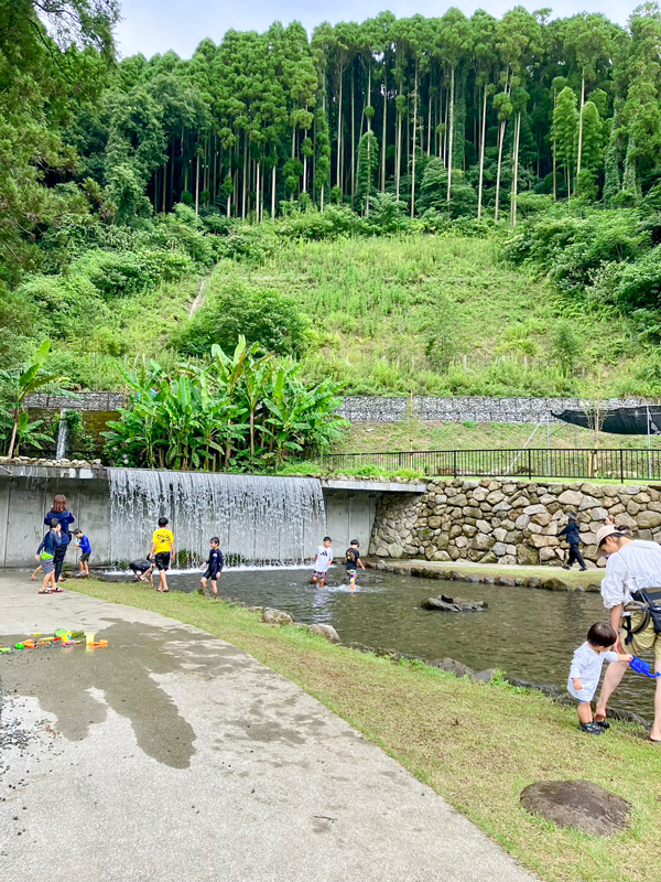 小さな滝のある浅瀬で水遊びを楽しむ子どもたちと、背景に広がる竹林の斜面